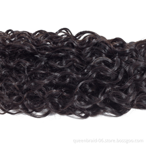 Brazilian Water Wave Bundles with Closure Virgin Human Hair Extensions Wet and Wavy Bundles with Free Part Lace Closure